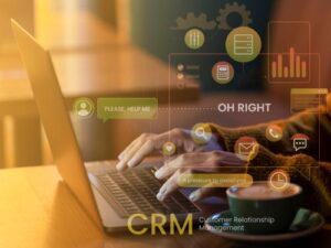 Custom CRM Solutions 